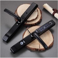 ALUMINIUM DOOR FINGERPRINT SMA