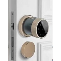 TTLOCK APP FINGERPRINT SMART L