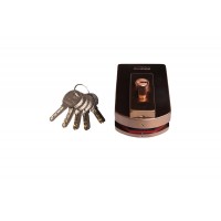 GLASS DOOR BOTTOM LOCK