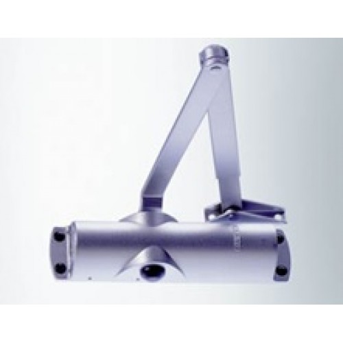 HOLD OPEN DOOR CLOSER TS1000 C